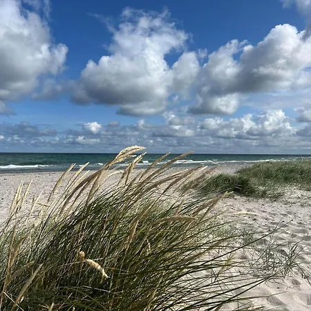 Дом отдыха 10063-nykobing-sj-enebaervej-4 *