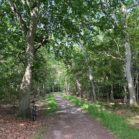 Дом отдыха 10063-nykobing-sj-enebaervej-4 *